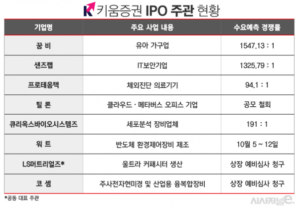 표=김은실 디자이너.
