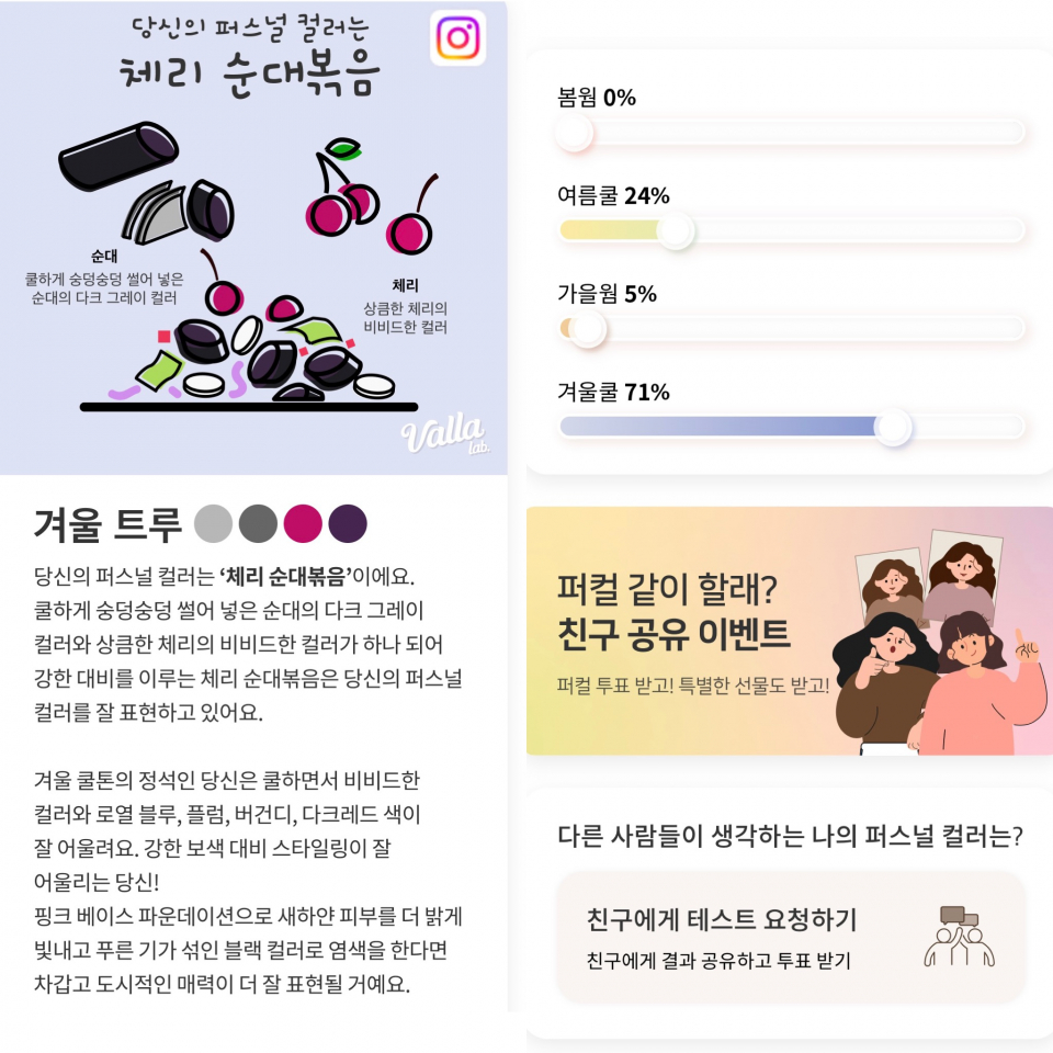 퍼스널 컬러 진단 결과./사진=발라랩 캡처