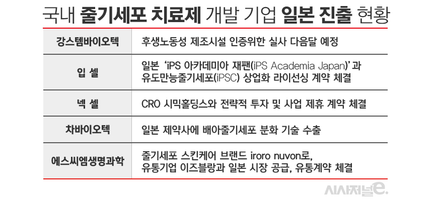 ./표=김은실 디자이너