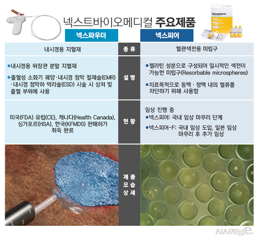 ./그래픽=김은실 디자이너