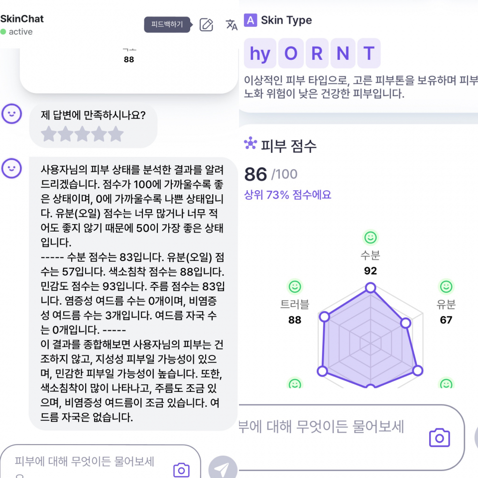피부 진단 결과./사진=아트랩 캡처