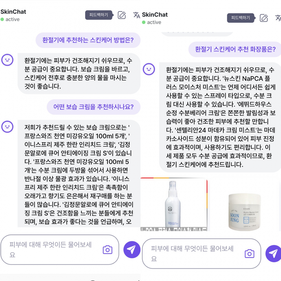 챗봇과 피부 상담 과정./사진=아트랩 캡처
