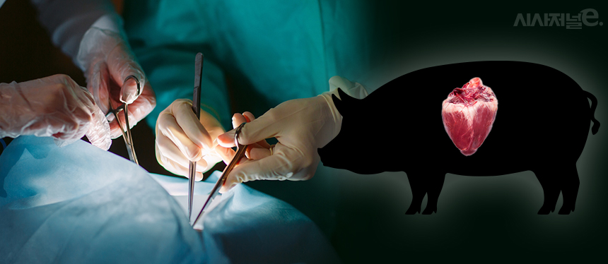 ./이미지=셔터스톡, 그래픽=김은실 디자이너