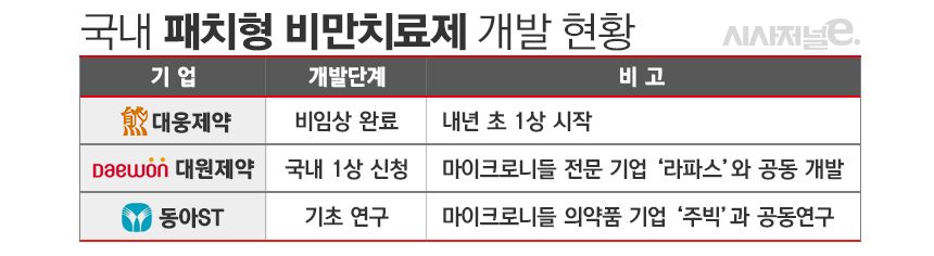 국내 패치형 비만치료제 개발 현황./ 표=정승아 디자이너