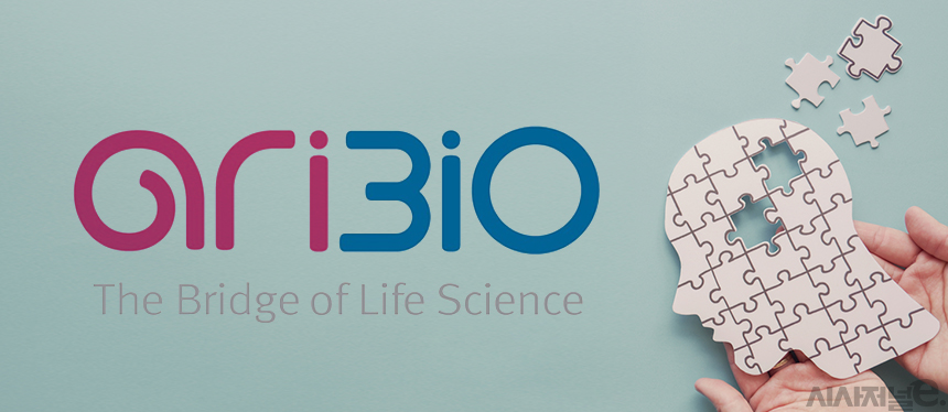 그래픽=김은실 디자이너