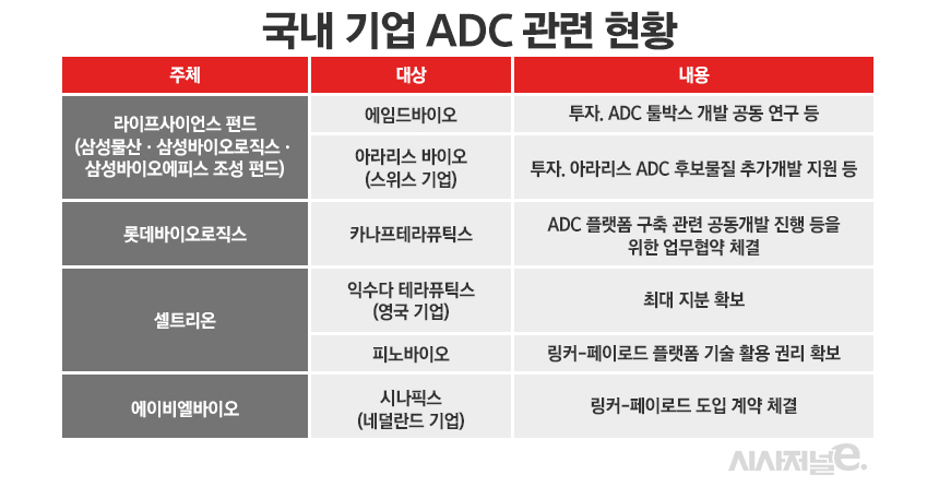 ./표=정승아 디자이너