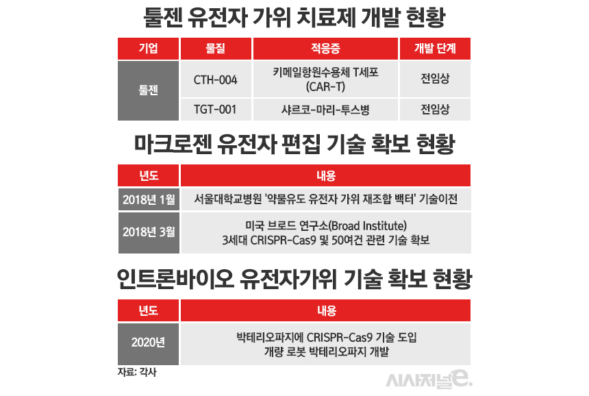 국내 유전자 가위 개발 현황./ 표=정승아 디자이너
