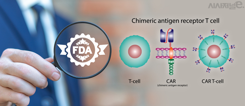 ./사진=셔터스톡, 그래픽=김은실 디자이너