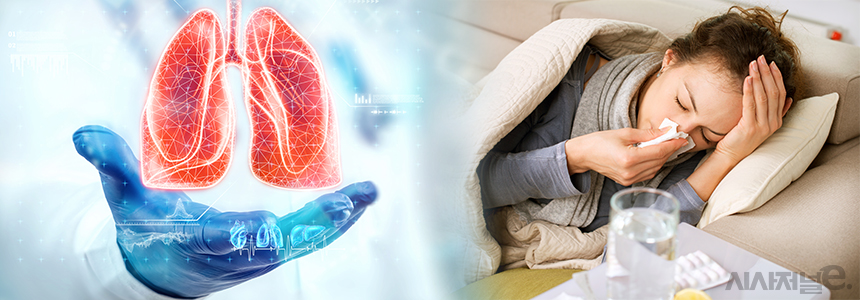 그래픽=정승아 디자이너