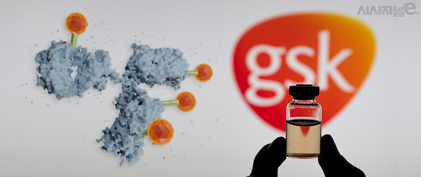 ./사진=셔터스톡, 그래픽=김은실 디자이너