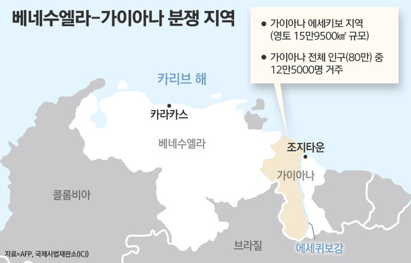 /그래픽=정승아 디자이너