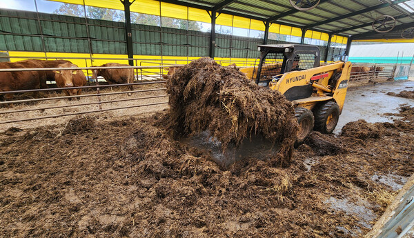 / 사진=연합뉴스