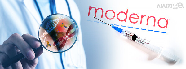 ./사진=셔터스톡, 그래픽=김은실 디자이너