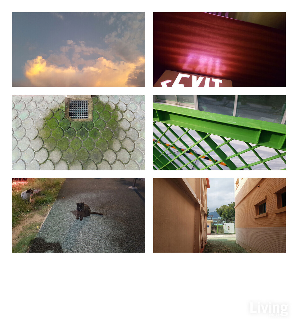 유나얼, Individual Six 2