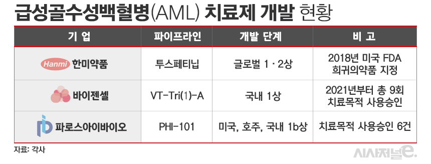 AML 치료제 개발 현황./ 표=김은실 디자이너