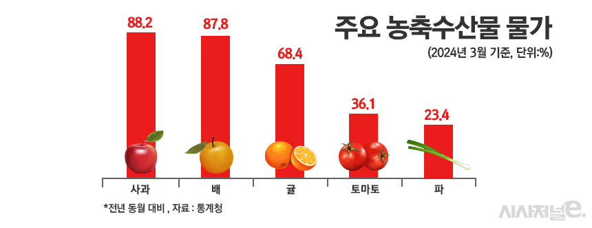 / 그래픽=정승아 디자이너