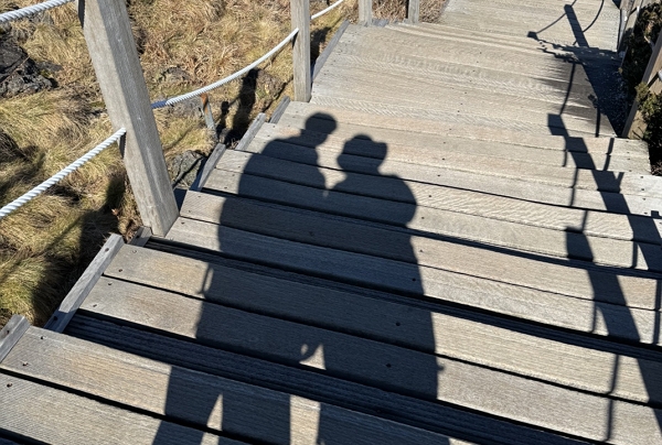 결혼을 몇 달 앞둔 예비신부 임지윤(30, 가명)씨는 어릴 적부터 아이를 많이 낳아 단란한 가정을 꾸리는 것이 꿈이었다. 부모님께 받았던 사랑을 자식들에게 그대로 전해주고 싶은 마음이 컸다. / 사진=시사저널e