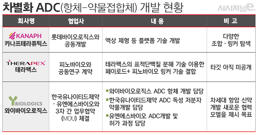 ./표=김은실 디자이너