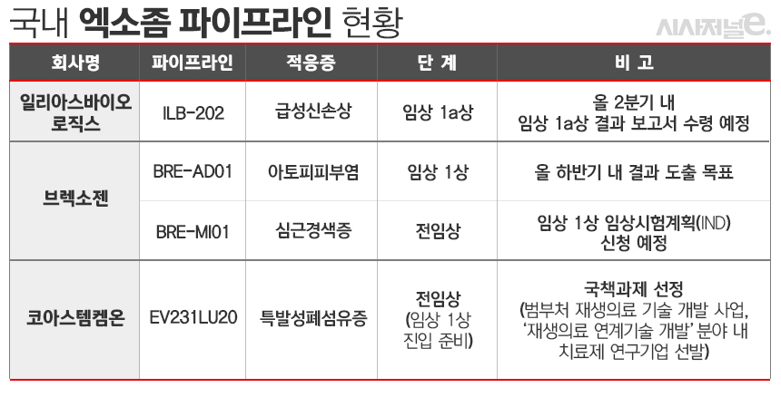 ./표=김은실 디자이너