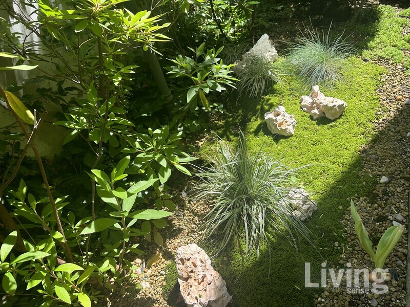 차근희 대표가 자신의 작업실에 조성한‘이끼정원’. 화려하지 않고 편안함을 주는정원의 모습을 추구한다.