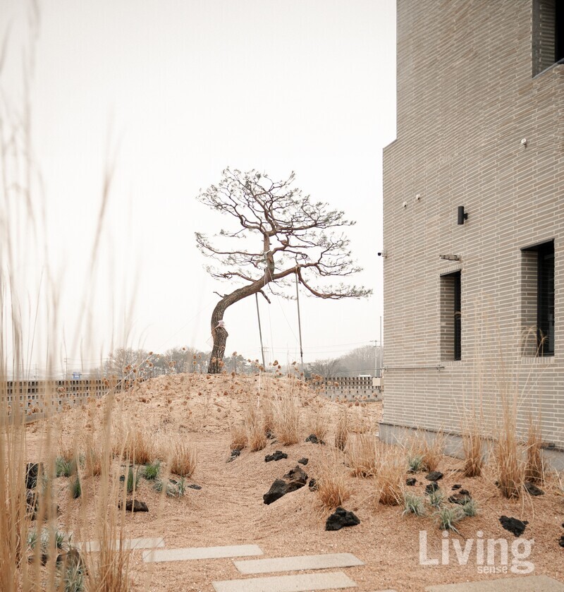 경기도 이천에 위치한 카페 적요. 공간의 이름이 주는 쓸쓸한 뉘앙스를 정원에 담았다. 방문객이 산책로를 거닐며 차분히 사색할수 있도록 소나무로 동선을 유도했다.