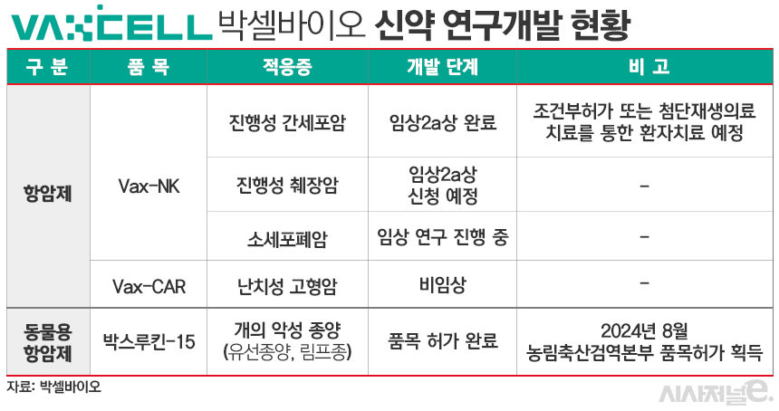 박셀바이오 신약 연구개발 현황./ 표=김은실 디자이너