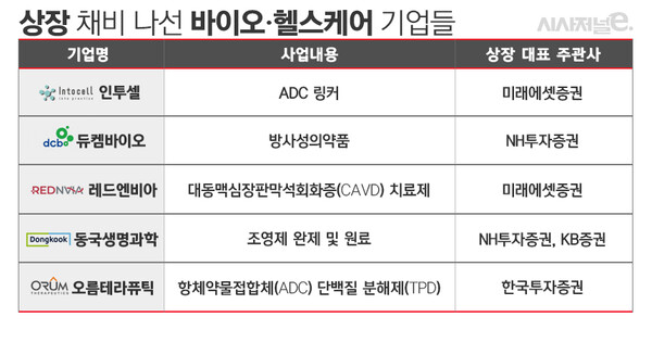 / 표=김은실 디자이너.