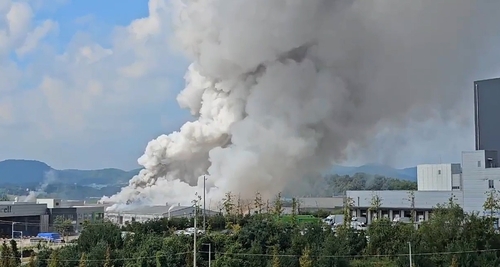 / 사진=독자, 연합뉴스 제공