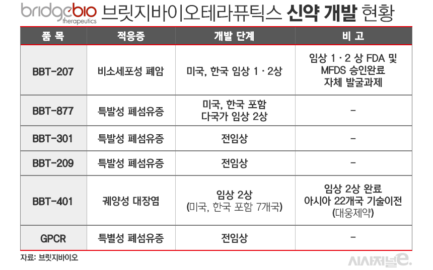 브릿지바이오 신약 개발 현황./ 표=김은실 디자이너