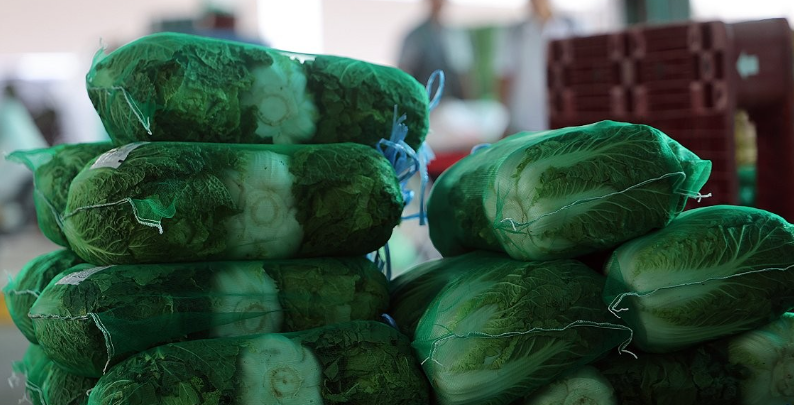 /사진=연합뉴스