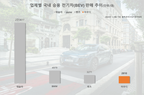 수입차 업체별 전기차(BEV) 판매 추이. / 자료=한국수입자동차협회