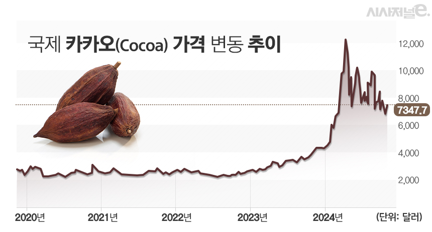 국제 카카오 가격 변동 추이. / 표=김은실 디자이너