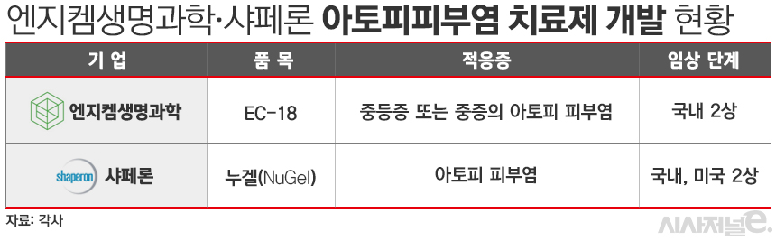 엔지켐생명과학·샤페론 아토피피부염 치료제 개발 현황. / 표=김은실 디자이너