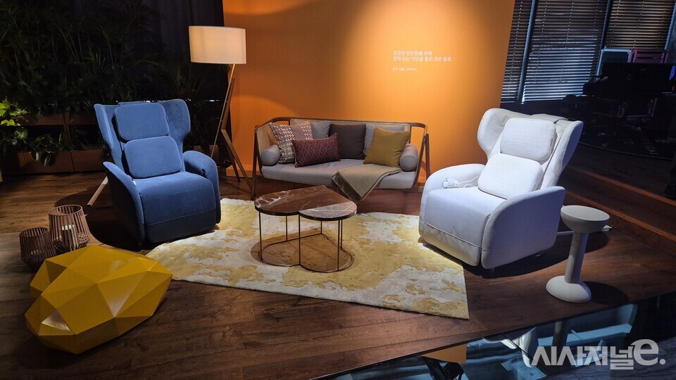 바디프랜드가 출시한 파밀레 C. / 사진=한다원 기자