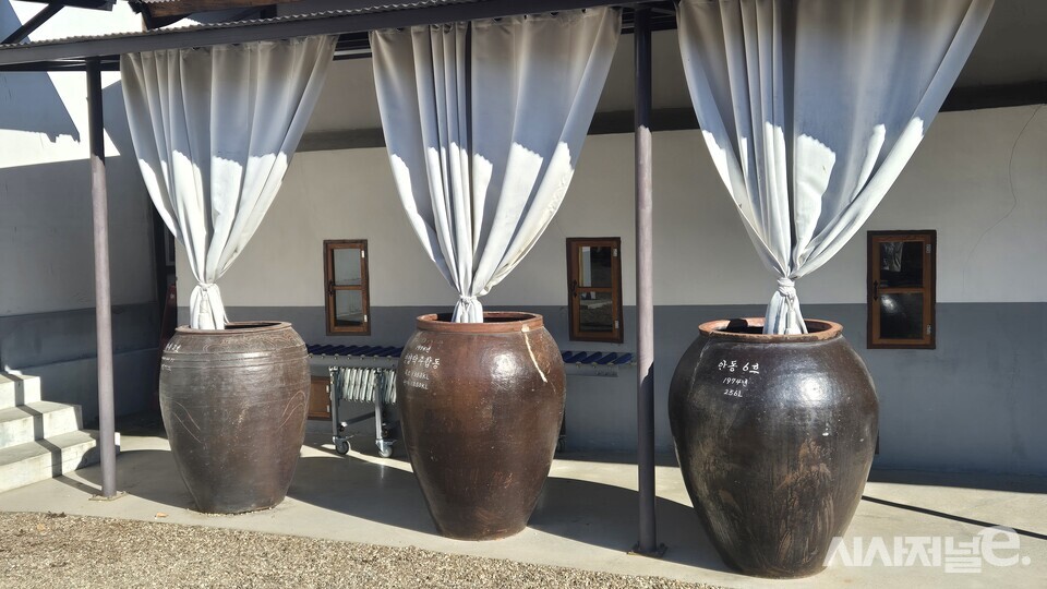 발효공방1991 내부 모습. / 사진=한다원 기자