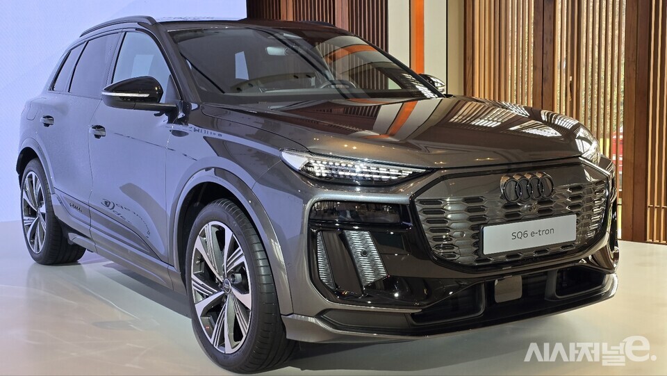 Q6 e-트론. / 사진=박성수 기자