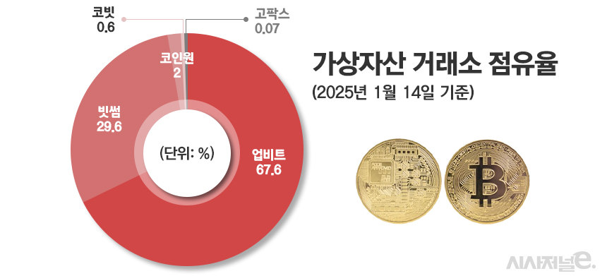 /자료=코인게코, 그래픽=정승아 디자이너