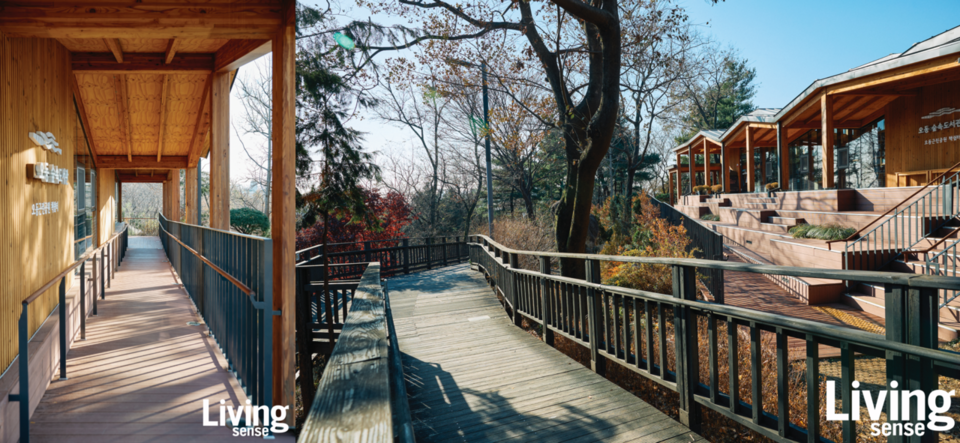 초기 설계안은 자락 길을 따라 조성된 산책로와 건물의 지붕이 자연스럽게 이어지는 구조였다. 그러나 이를 구현하려면 구조적 보강이 많이 필요했고, 추가 예산 확보가 어려운 상황에서 목조 대신 콘크리트를 사용해야 했기에 계획을 수정할 수밖에 없었다. 그 대신 건물을 둘러싼 나무 데크 길을 사방에 조성하고, 이를 산책로와 연결했다.