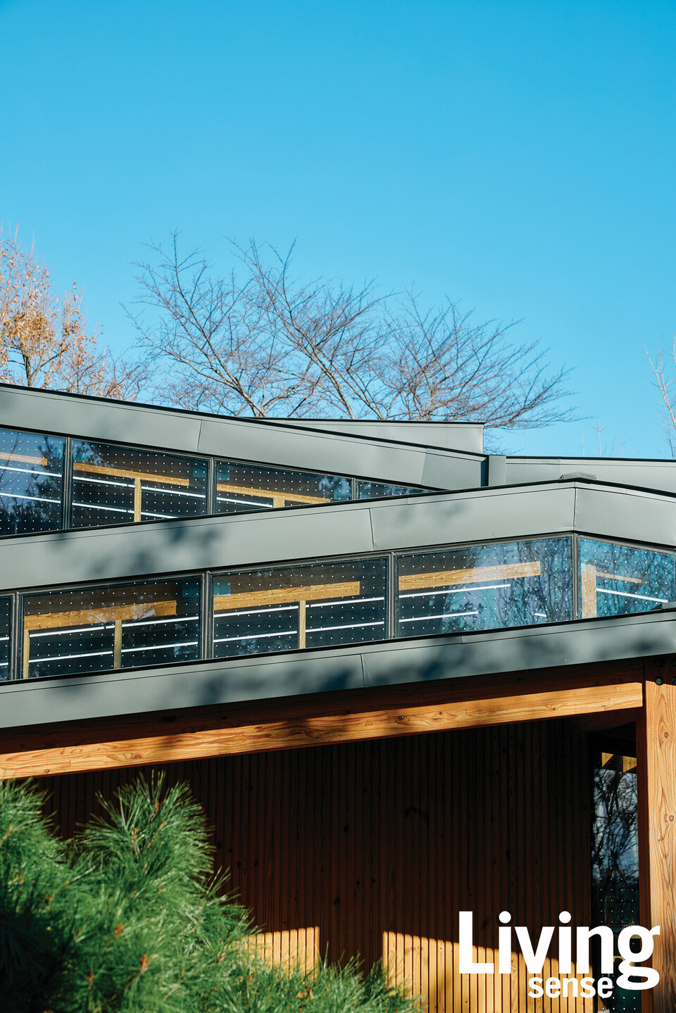 공원과의 조화를 깨트리지 않기 위해 단층 건물임에도 천장을 무한정으로 올릴 수 없었던 건축가. 그 결과 주변의 나무들과도 크게 튀지 않는 지금의 높이로 설계됐다.