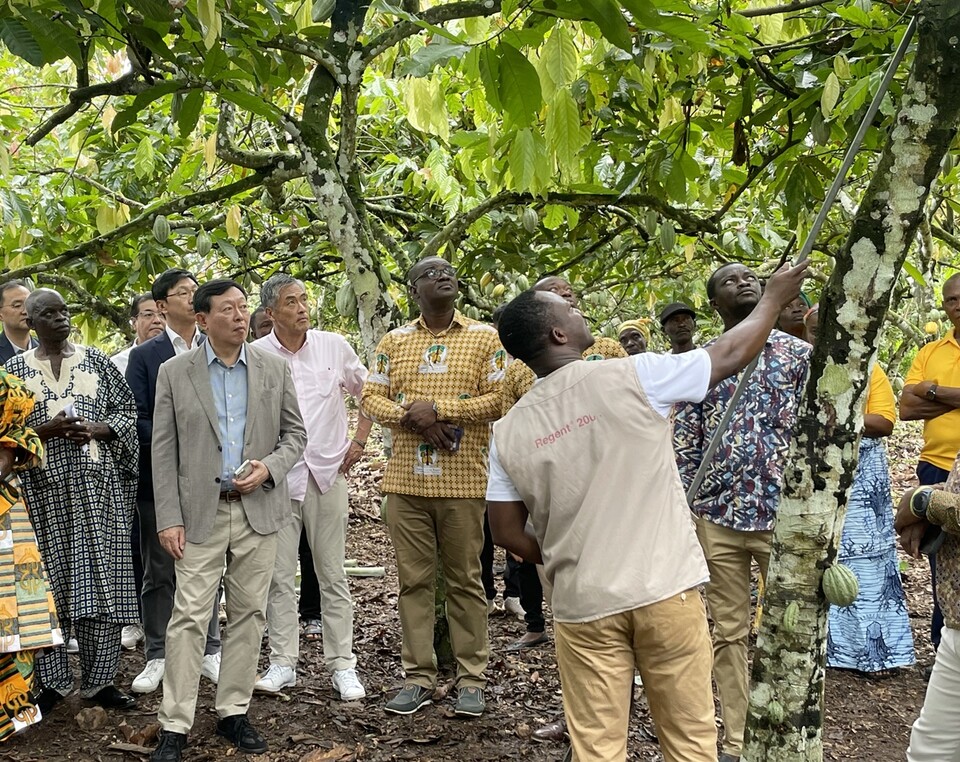 신동빈 롯데그룹 회장이 지난해 10월 가나 찾아 카카오 농장, 공급망을 점검했다. / 사진=롯데그룹