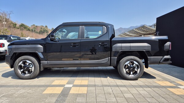 타스만 . / 사진=최동훈 기자