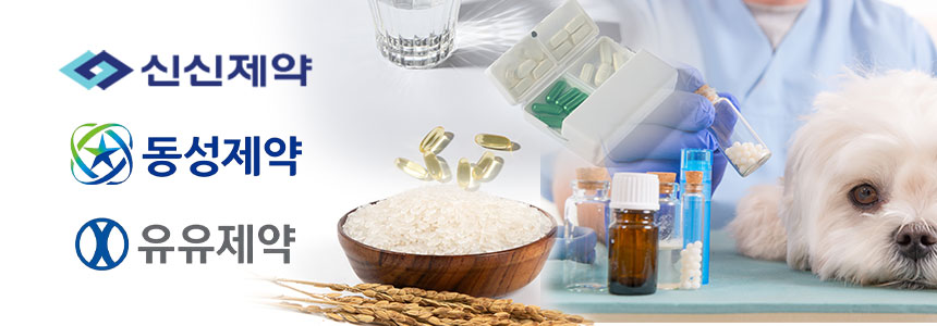 그래픽=정승아 디자이너