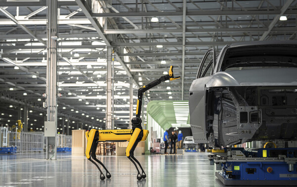 현대자동차그룹 보스턴 다이내믹스의 사족로봇 스팟이 미국 조지아 신공장 HMGMA의 차량 조립 과정에 투입됐다. / 사진=HMG저널