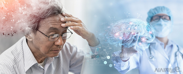 6일 저출산고령사회위원회에 따르면 고령 치매환자들이 보유한 자산 154조원이 제대로 관리되지 못한 채 방치되고 있는 것으로 나타났다. / 그래픽=시사저널e DB