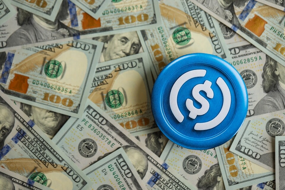 / 사진=셔터스톡