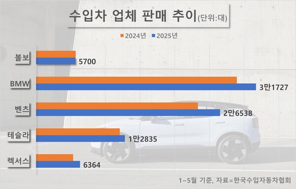 주요 수입차 업체의 1~5월 판매 추이. / 자료=한국수입자동차협회