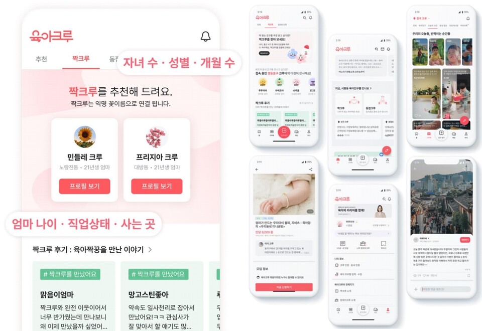 /사진=다이노즈