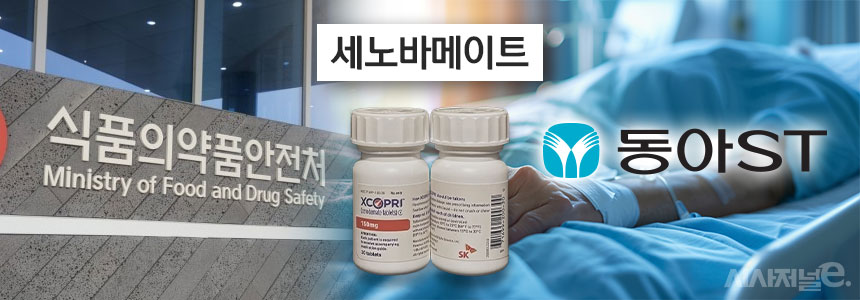 그래픽=정승아 디자이너