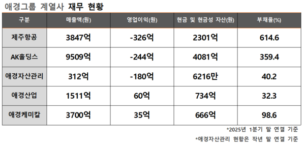 애경그룹 계열사 재무 현황. / 자료=전자공시시스템
