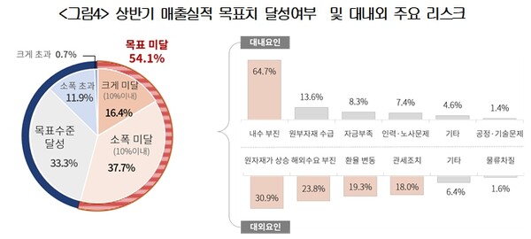 상반기 매출실적 목표치 달성여부 및 대내외 주요 리스크 / 자료 = 대한상공회의소
